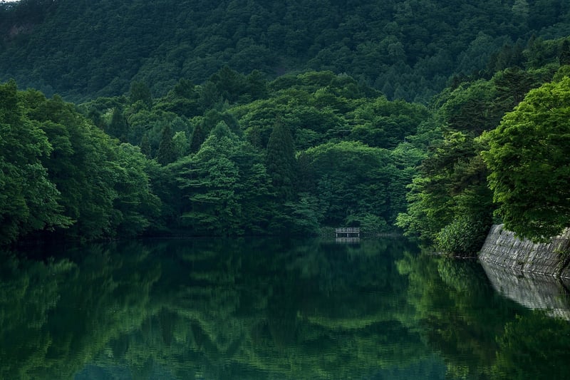 Celestial Lake Gardens